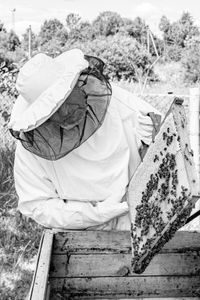 Examining the bees' work