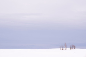 Winter Horizon in the Vicinity -08