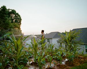 Mario's Garden, 2021