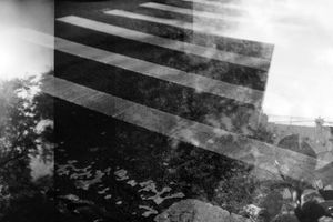 SoHo from Where the Green seeps into the Concrete series
