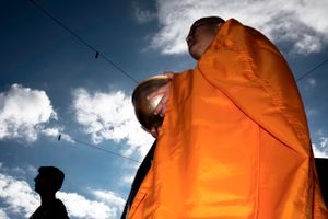 consciousness collector