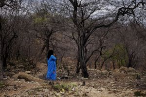 Resguardo Providencial, Wayuu, La Guajira