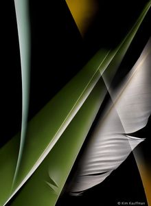 Confluence 3 © Kim Kauffman