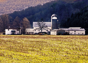 Farm & Winter Field