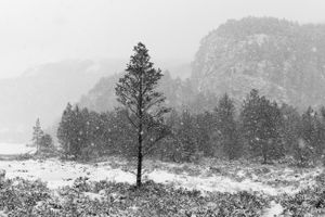 Møre og Romsdal. Holsvatnet lake on the island of Øtroya, Norway. 2013.