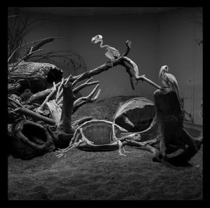 Nature Morte 9