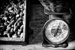 Scales