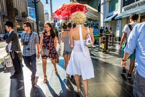 Hollywood Boulevard