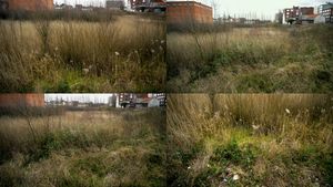 Anderlecht, behind Atlas brewery.
