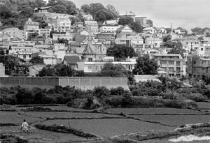 "Worker, Water Cress Field" Antananarivo, 1993