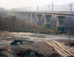 Sheafs, Jinzhai Anhui, 2012 © Scott Conarroe