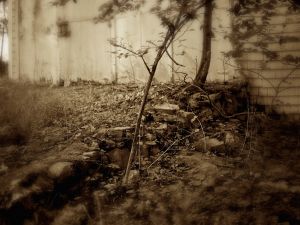 © Mildred Alpern