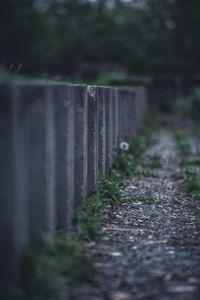 Forsaken