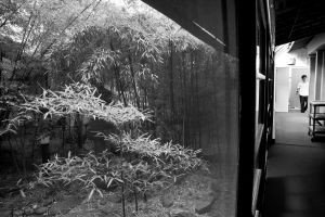 © Kyunghee Lee