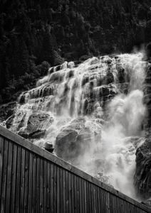 The flood
