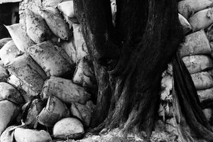 Dichotomy of Existence 11