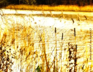 Memory Sketch II. Memory Landscapes series. 2021.
