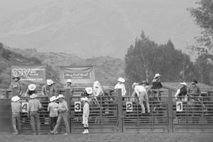 14 White Hats