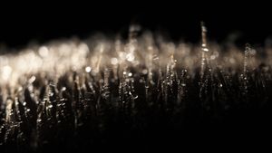 Perception 10