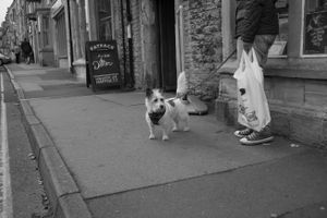 in Chipping Campden