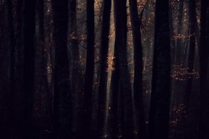 Deep Inside III #12