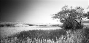 Mother Lake in White #5
