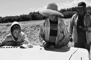 Sara and Luís counting their "fichas."  Workers are given small plastic tokens every time they deliver a bucket of chiles to the crate. © Joseph Sorrentino