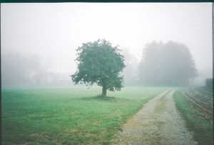 Captured analogue on slide film.