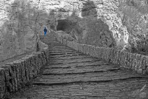 But We Have Feet to Scale and Climb—HW Longfellow