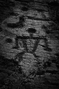 Hawaiian Petroglyph 8