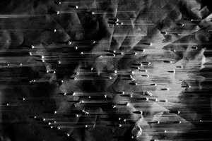 Unquestioning 11