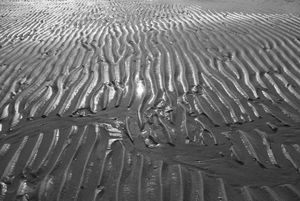 Ocean's traces