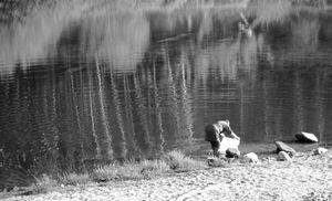 Mondego River Washing