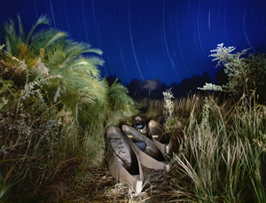 African Nights