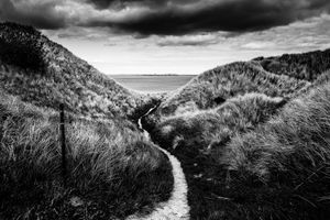 Scotlandscape #2