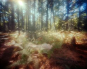 untitled, 2012; archival pigment print from large frormat pinhole negative   © DM Witman