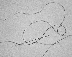 Sea Etching 39