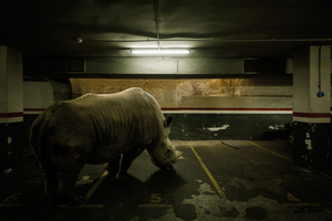 Josep, what do you want?