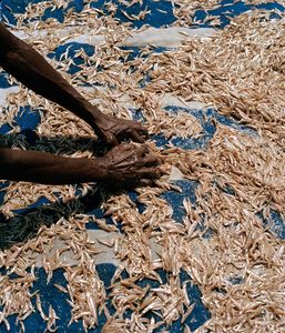 Drying Kapenta