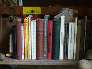 bookshelf in 'When Things Dream',  3rd garage installation- LK, Madison, WI, 2006,
