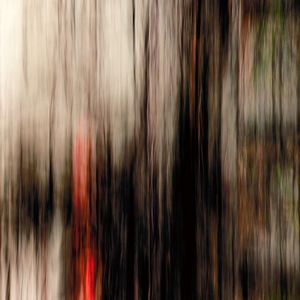 Title: +37° 47' 8.71", -122° 23' 24.81"       © Nicolo Sertorio