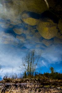 Liquid Sky 04