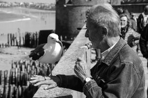 L'homme et l'oiseau