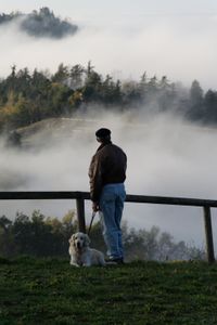 Sea of Fog
