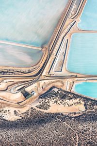 Blue Fields No 8