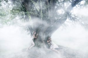 The sound of Nature
