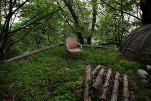 The Forgotten Forests