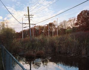 Waterlogged Shopping Cart, 2010