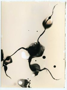 Series II  _  The beginning