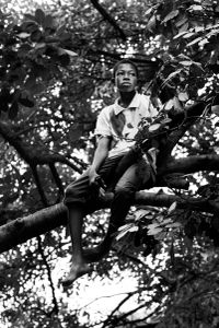 La fête du village - boys in trees and girls in the crowd,  waiting for the spectacle to begin in a little village in Burkina Faso.